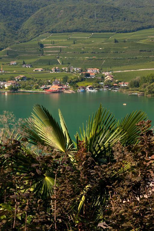 Apartament Haus Dorfblick Caldaro Zewnętrze zdjęcie